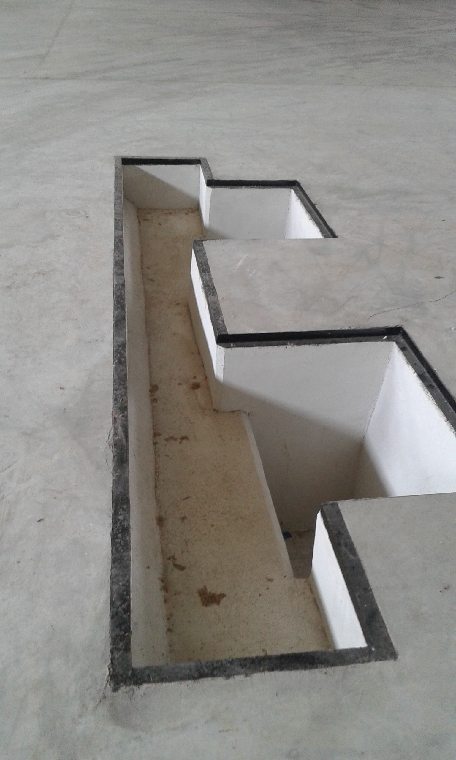 Project